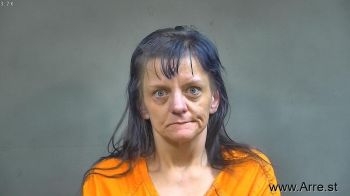 Brandy Jo Marine Mugshot