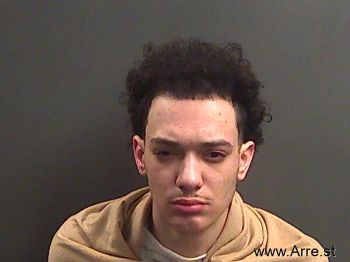 Brendan Lee Holmes Mugshot