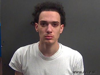 Brendan Lee Holmes Mugshot