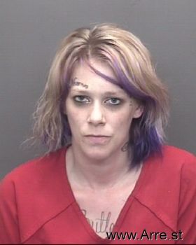 Brittany Ann Butler Mugshot