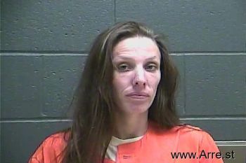 Courtney Lynn Mcdaniel Mugshot