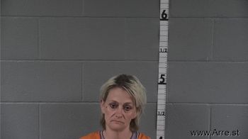 Cynthia Ann Lee Mugshot