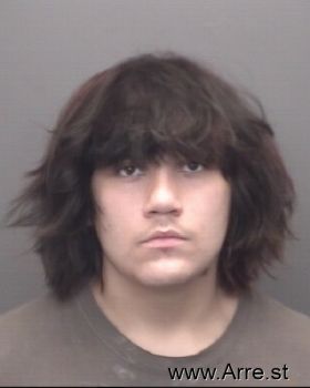 Christian Trinidad Gonzalez Mugshot