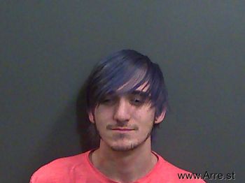 Cody Lei -shane Roberts Mugshot