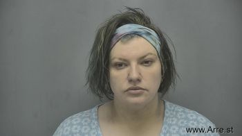 Courtney Paige Anderson Mugshot