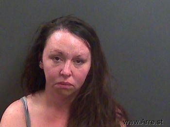 Cynthia Renee Blevins Mugshot