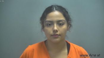 Danielle Michelle Contreras Mugshot