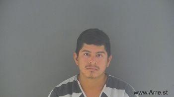 Darinel Yobani Martinez-gomez Mugshot