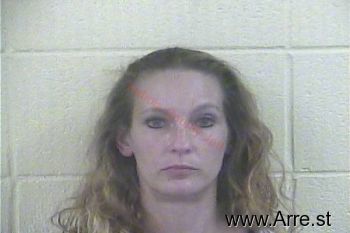 Dawn Lynn Prechtel Mugshot