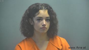 Desiree Marie Wilson Mugshot