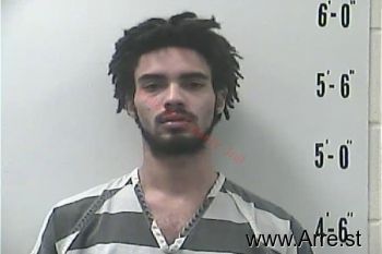 Dominic Carson Palmerone Mugshot