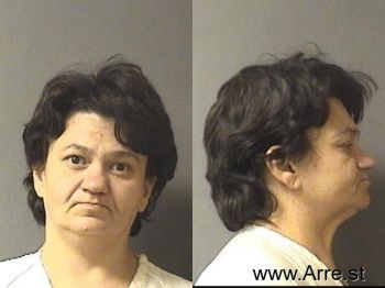 Dana Leanne Elam Mugshot