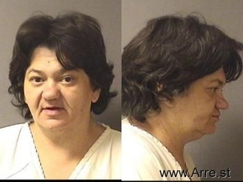 Dana Leanne Elam Mugshot