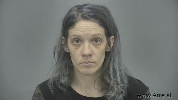 Danielle Nicole Targett Mugshot