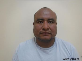 Elias  Flores-palacios Mugshot