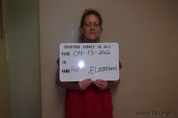 Elizabeth B Hamm Mugshot