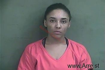 Erica Gillian Holloway Mugshot