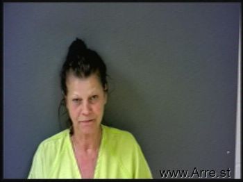 Erica Sue Howard Mugshot