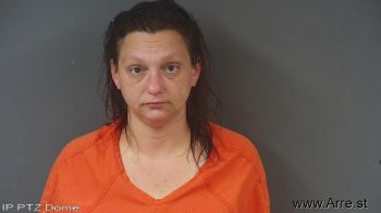 Erin Elizabeth Williams Mugshot