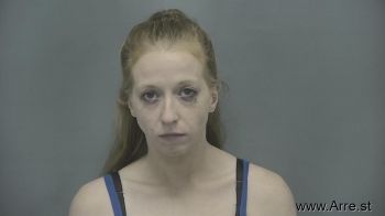 Erika Lynn Sickles Mugshot