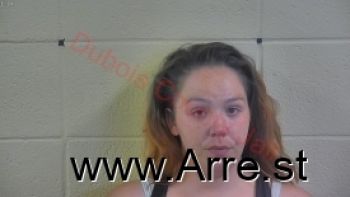 Jami Ellen Stout Mugshot