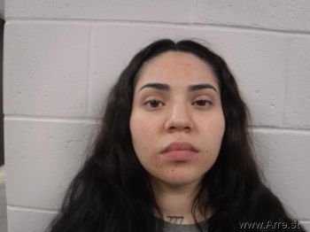 Javiera  Cabello Solis Mugshot