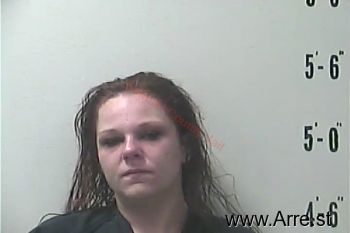 Jennifer Lynn Vanblaricom Mugshot