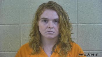 Jessie Nicole Dearborn Mugshot