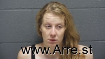 Joanna Marie Amidon Mugshot