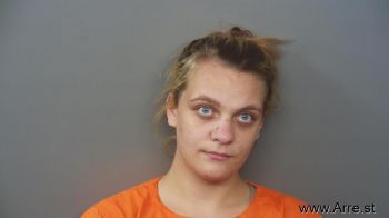 Julie Ann Anderson Mugshot