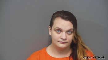 Julie Ann Anderson Mugshot