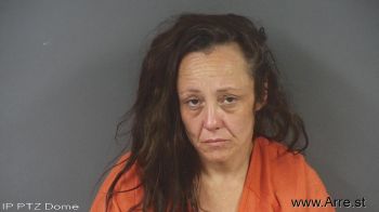 Julie Ann Bailey Mugshot