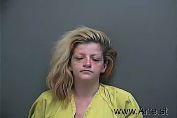 Julie Ann Roseberry Mugshot