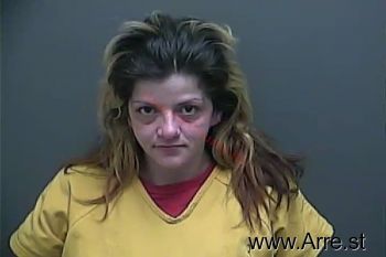 Julie Ann Roseberry Mugshot