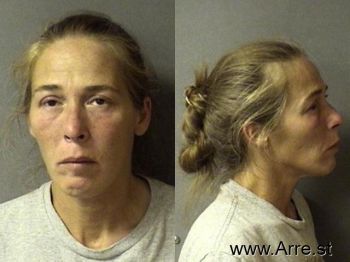 Jaime Lynn Abbott Mugshot