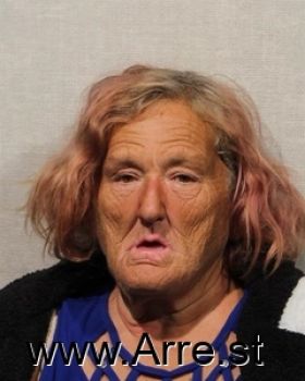 Jerri Ann Elkins Mugshot