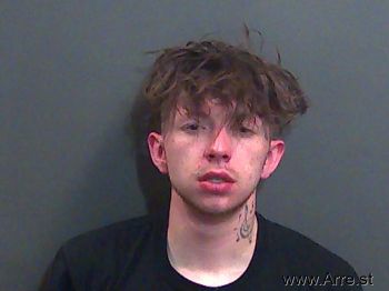 Jesse Lee Brown Mugshot