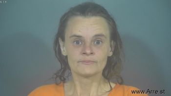 Karen Renee Evans Mugshot