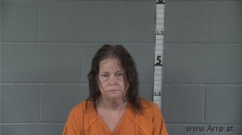 Karen Sue Mcnally Mugshot