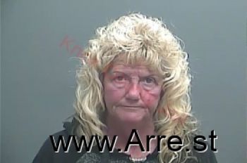 Lee Ann Wilson Mugshot