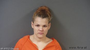 Leslie Ellen Anderson Mugshot