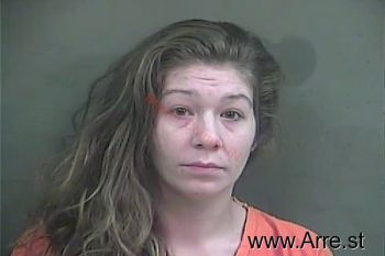 Leslie  Johnson Mugshot