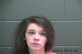 Lindsey Lee Cook Mugshot