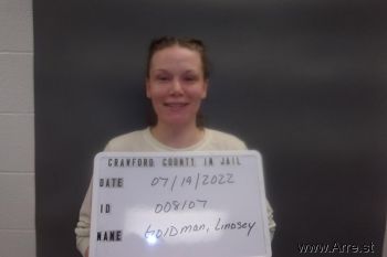 Lindsey N Goldman Mugshot