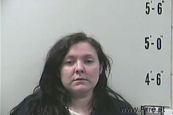 Lisa Marie Murray Mugshot