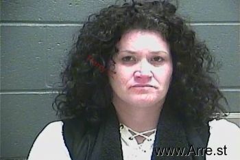 Lisa E Tipton Mugshot