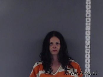 Lisa R Wells Mugshot