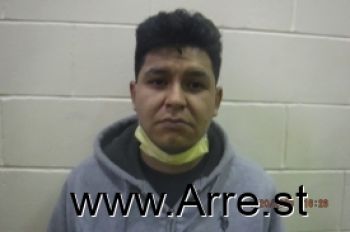 Luis  Herrera-ibarra Mugshot