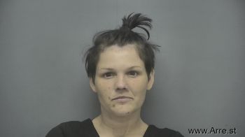 Leslie Ellen Anderson Mugshot