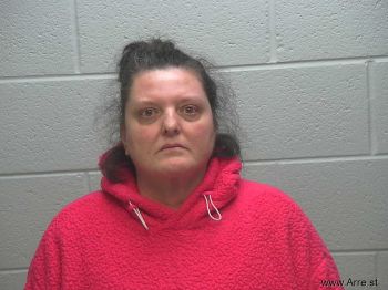 Lisa L Hopkins Mugshot